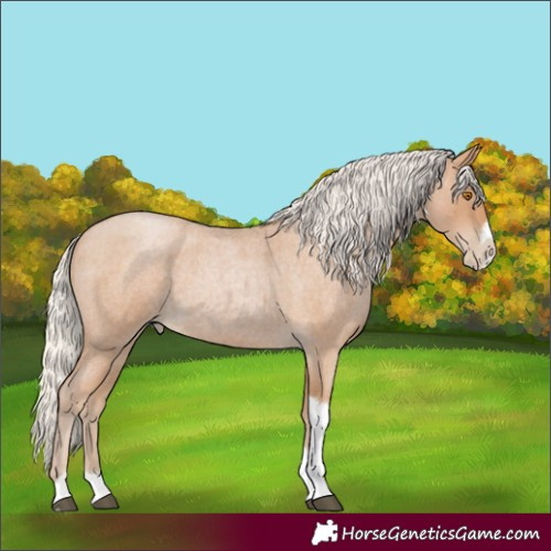 Horse Color:Silver Blue Roan Pearl Tobiano Frame 