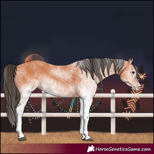 Horse Color:White Spotted Bay 