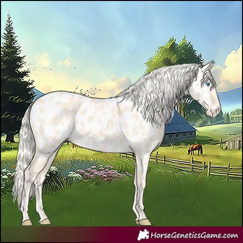 Horse Color:Cremello Near Leopard 