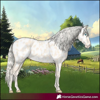 Horse Color:Cremello Near Leopard 