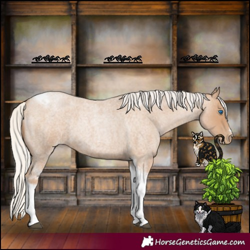 Horse Color:Silver Blue Roan Pearl Tobiano Frame 