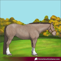 Horse Color:Classic Champagne Tobiano Rabicano