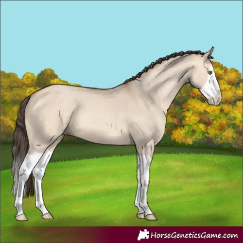 Horse Color:Amber Champagne Dun Splash 