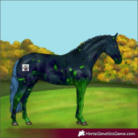 Horse Color:ERROR: UNKNOWN ANOMALY