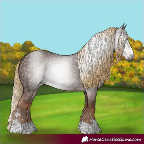 Horse Color:Gray Chestnut 