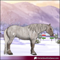 Horse Color:White Spotted Silver Blue Roan 