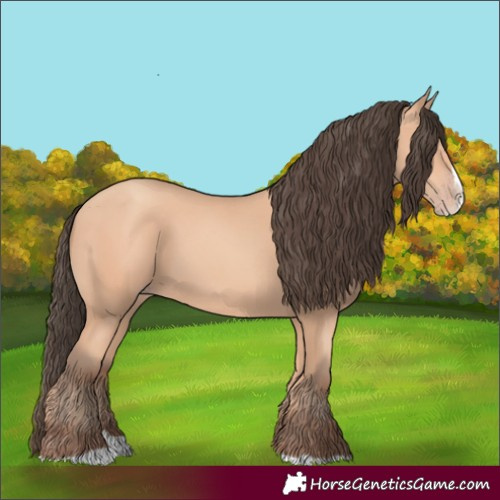 Horse Color:Amber Champagne Splash 