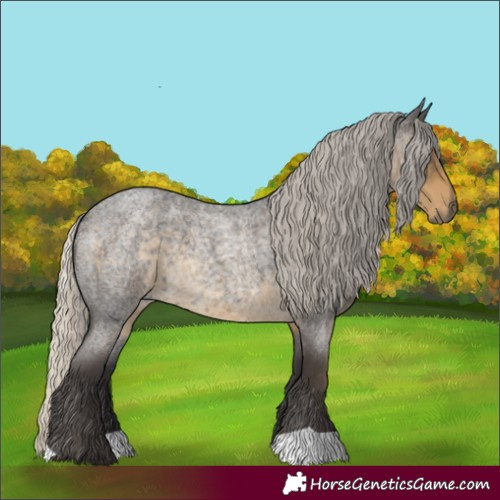 Horse Color:Silver Smoky Blue Roan 