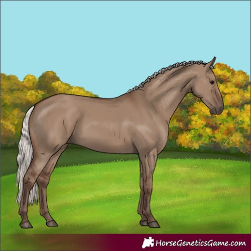 Horse Color:Silver Grullo 
