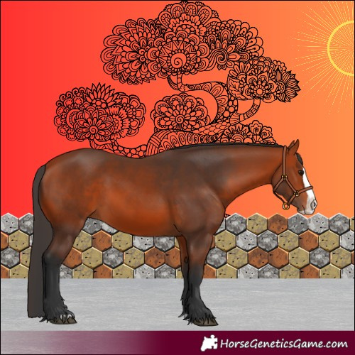 Horse Color:Bay Splash 