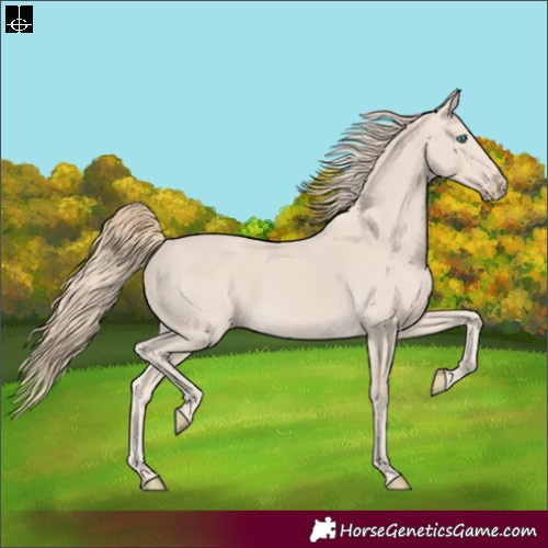 Horse Color:Smoky Creme 