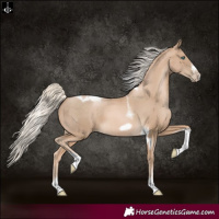 Horse Color:Chocolate Palomino Pearl Tobiano Frame and Chocolate Palomino Pearl Tobiano Frame