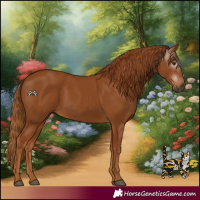 Horse Color:Gray Chestnut 