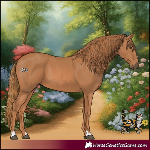 Horse Color:Chestnut 