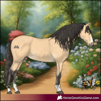 Horse Color:Buckskin 