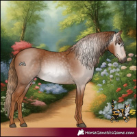 Horse Color:Gray Chestnut 
