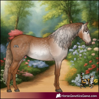 Horse Color:Gray Chestnut 