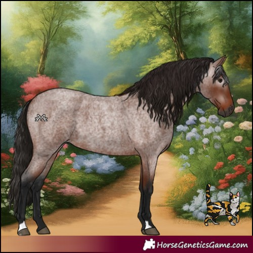Horse Color:Gray Bay Roan