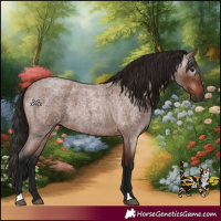 Horse Color:Gray Bay Roan 