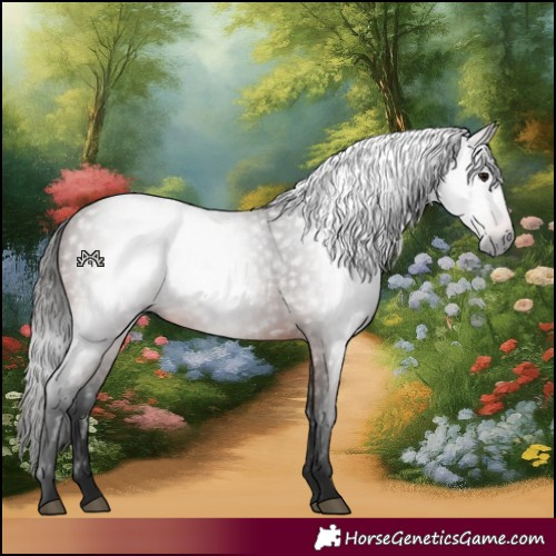 Horse Color:Gray Bay 
