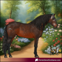 Horse Color:Gray Bay 