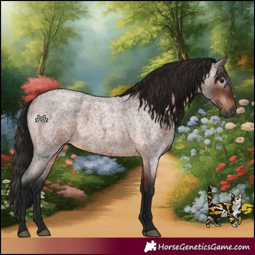 Horse Color:Gray Bay Roan