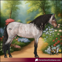 Horse Color:Gray Bay Roan 
