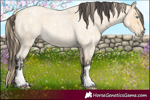 Horse Color:Buckskin Roan Pearl  and Buckskin Roan 