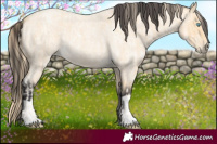 Horse Color:Buckskin Roan Pearl and Buckskin Roan