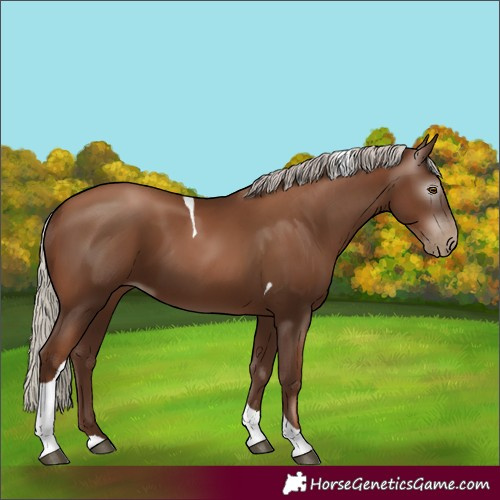 Horse Color:Gray Silver Black Pearl Tobiano 