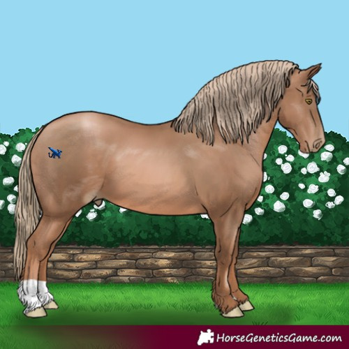Horse Color:Liver Chestnut Pearl 