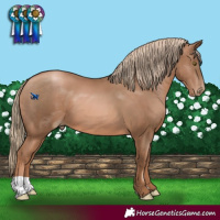 Horse Color:Liver Chestnut Pearl
