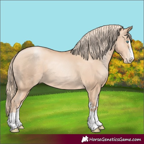 Horse Color:Gold Champagne Pearl 