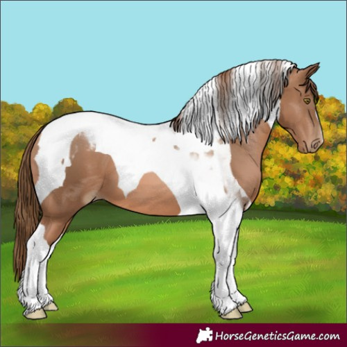 Horse Color:Liver Chestnut Pearl Tobiano 