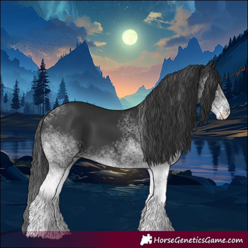 Horse Color:White Spotted Black 