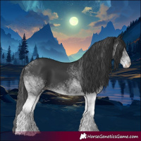 Horse Color:White Spotted Black