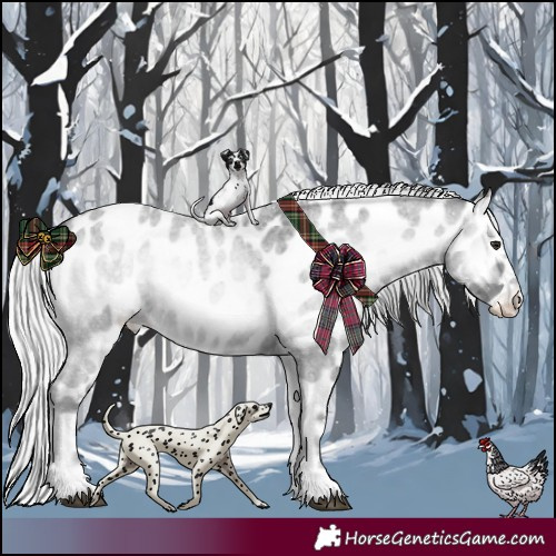Horse Color:Silver Blue Onyx Chinchilla Roan Near Leopard 