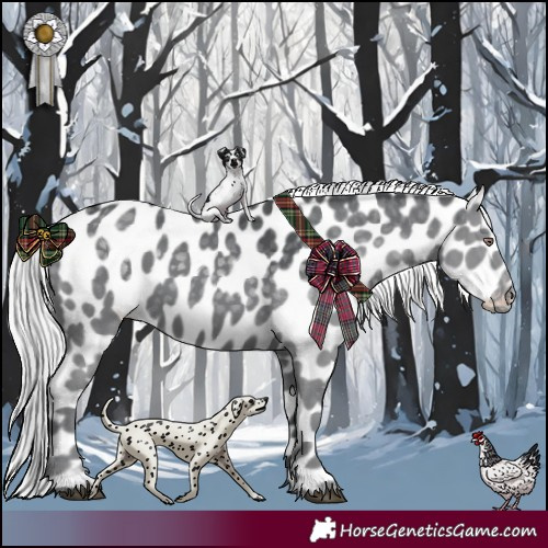 Horse Color:Silver Black Chinchilla Leopard 