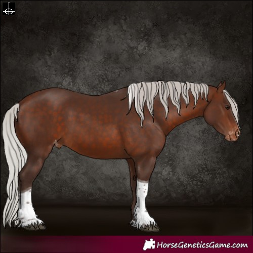 Horse Color:Silver Brown Tobiano Varnish