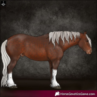 Horse Color:Silver Brown Tobiano Varnish 