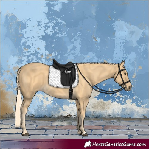 Horse Color:Palomino 