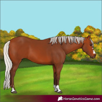 Horse Color:Silver Bay