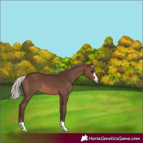 Horse Color:Silver Brown 