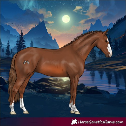 Horse Color:Chestnut 