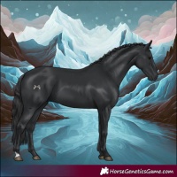Horse Color:Black 