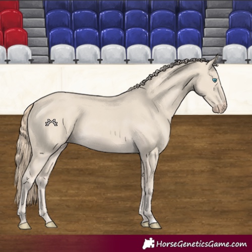 Horse Color:Smoky Creme 