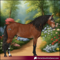 Horse Color:Gray Bay 