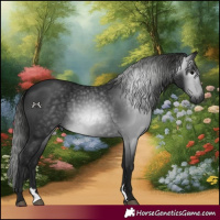 Horse Color:Gray Black 
