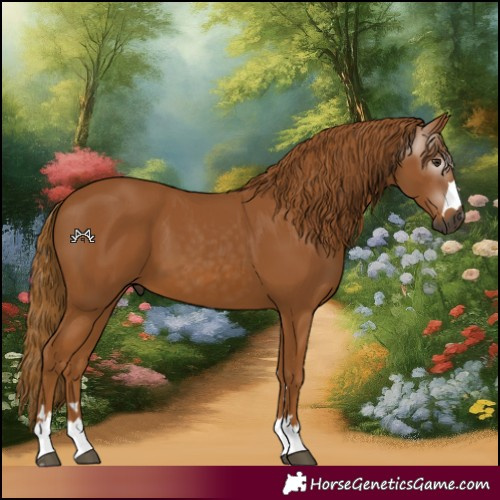 Horse Color:Gray Chestnut 