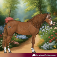 Horse Color:Gray Chestnut 